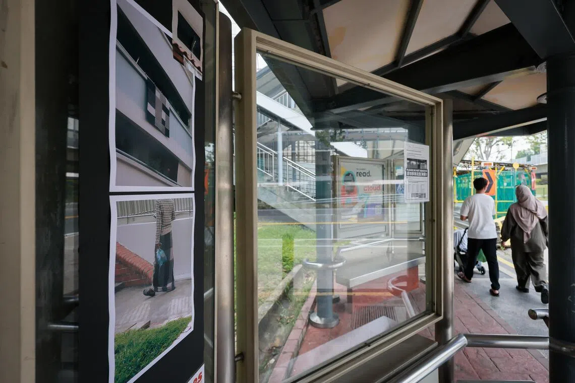 Photographs displayed on a community noticeboard at a bus stop along Yishun Avenue 2 on Sept 23.