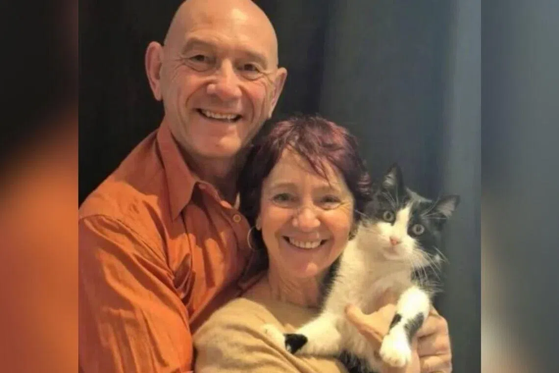 Cat travels from Spain to France over 5 months to reunite with family