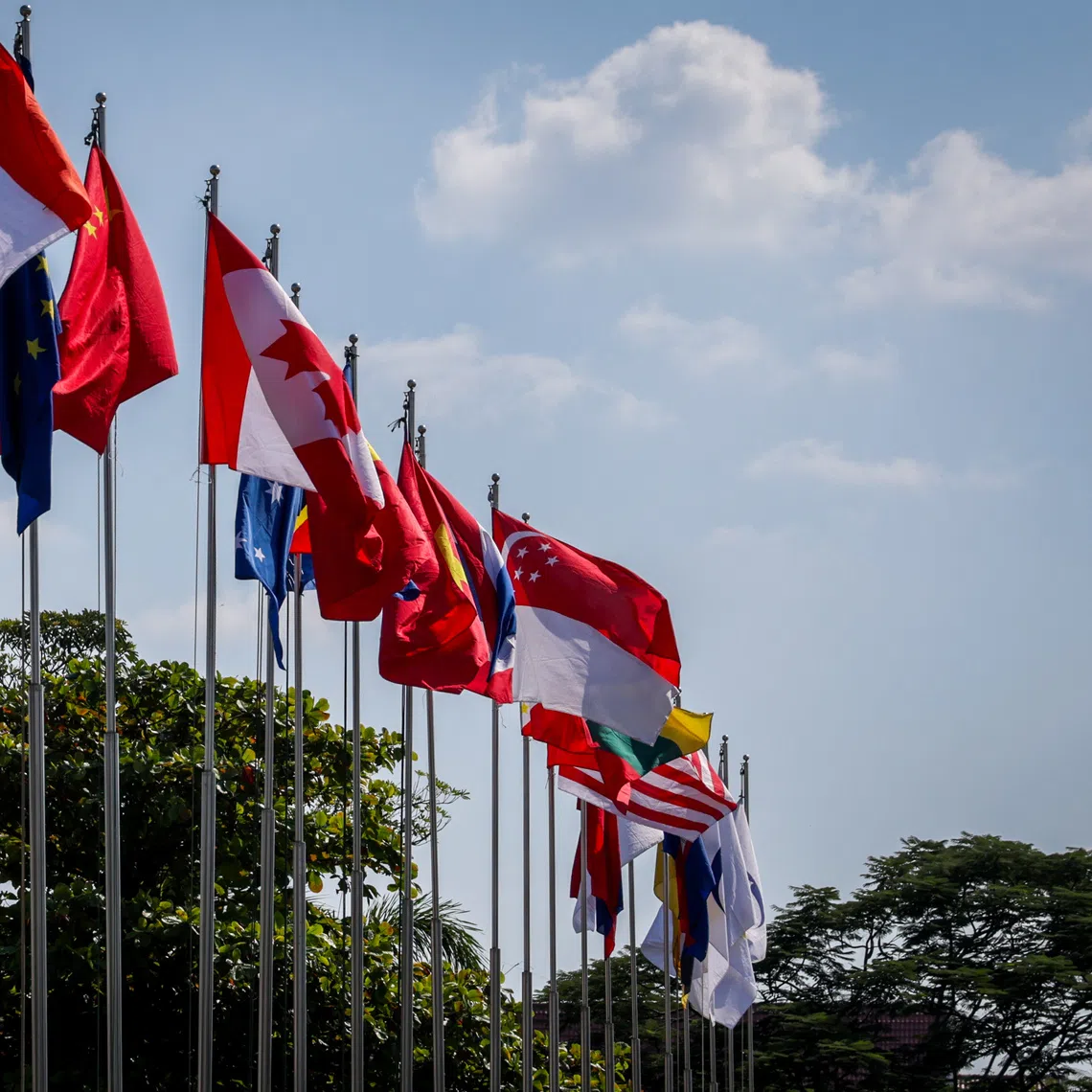 Cross-border electricity trade can unlock significant investments in renewable energy projects.