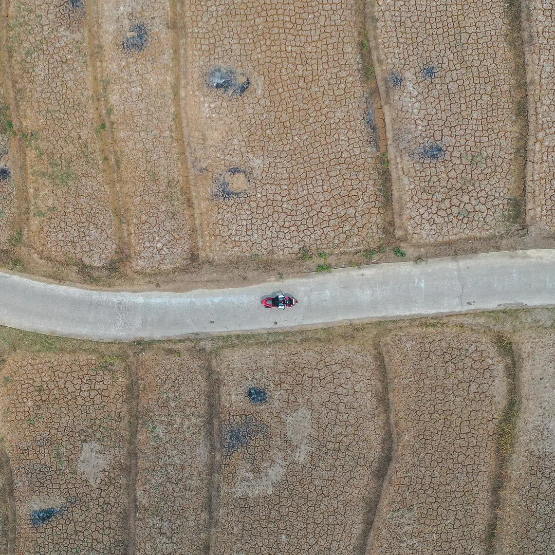 An aerial photo of a motorist riding a motorbike near dried-up paddy fields in Jonggol, West Java, Indonesia, on Sept 17.