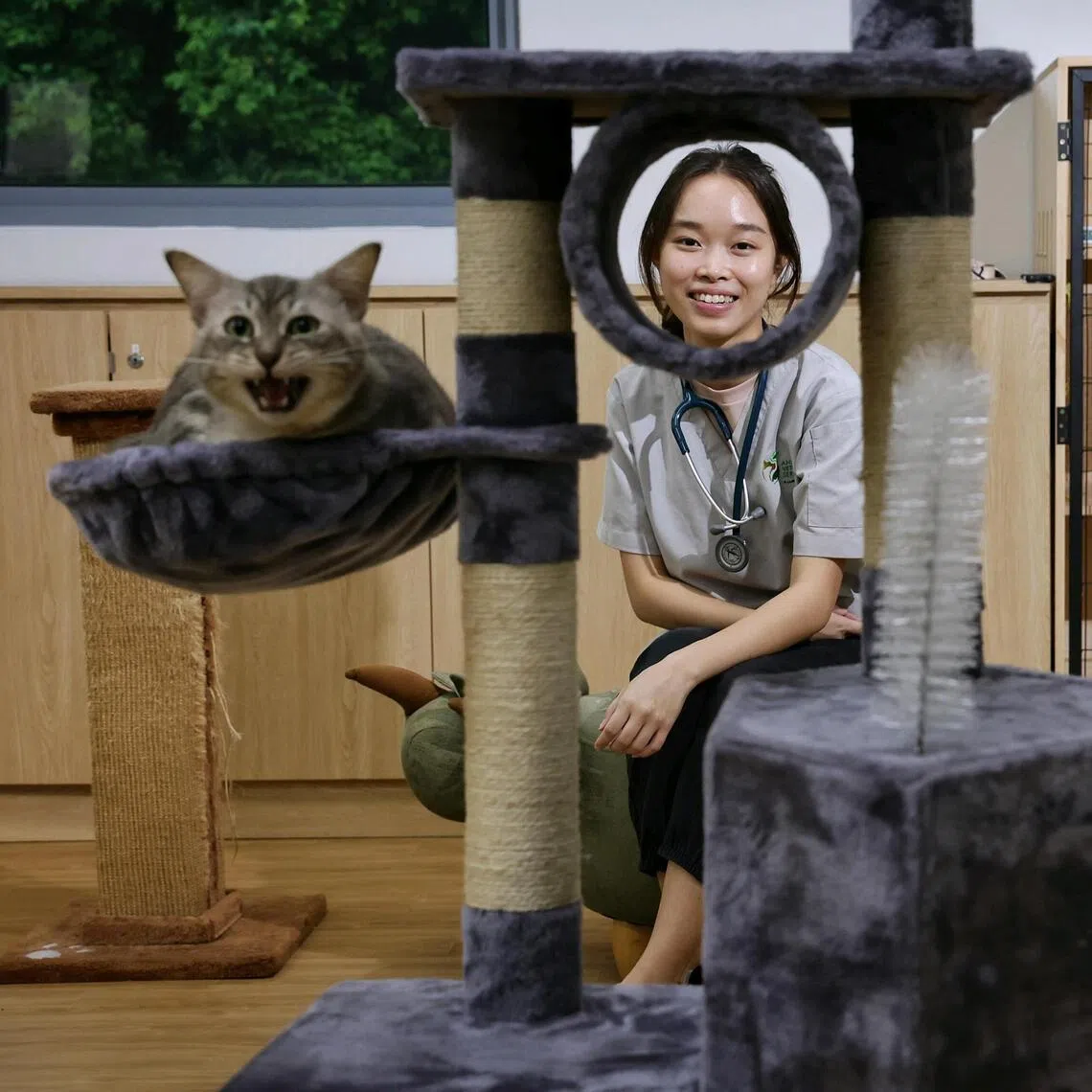 Dr Petrina Teo, with a rescued community cat, is a senior veterinarian with the Centre for Animal Rehabilitation at the Animal & Veterinary Service, a cluster of NParks.