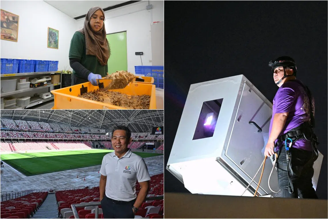 These beloved Singaporean icons stay up and running all year around. 