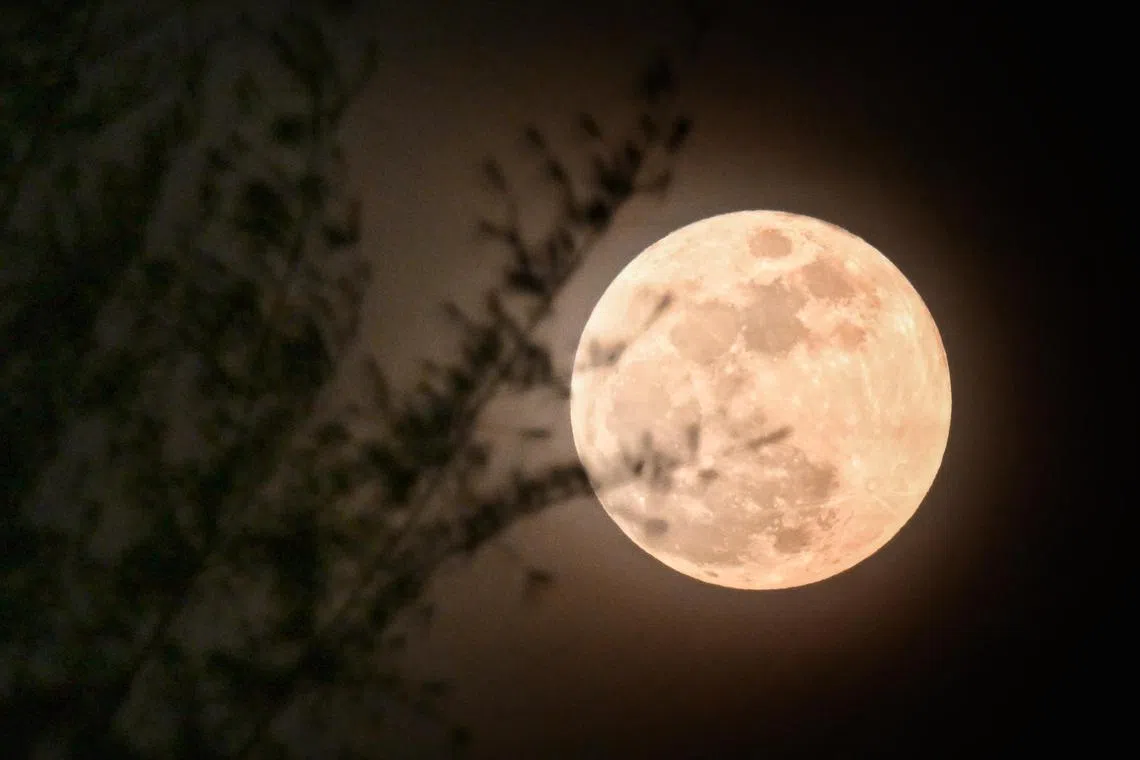 The harvest moon pictured here in Sept 2023, will make a return this year as one of five supermoon sightings in 2024. 