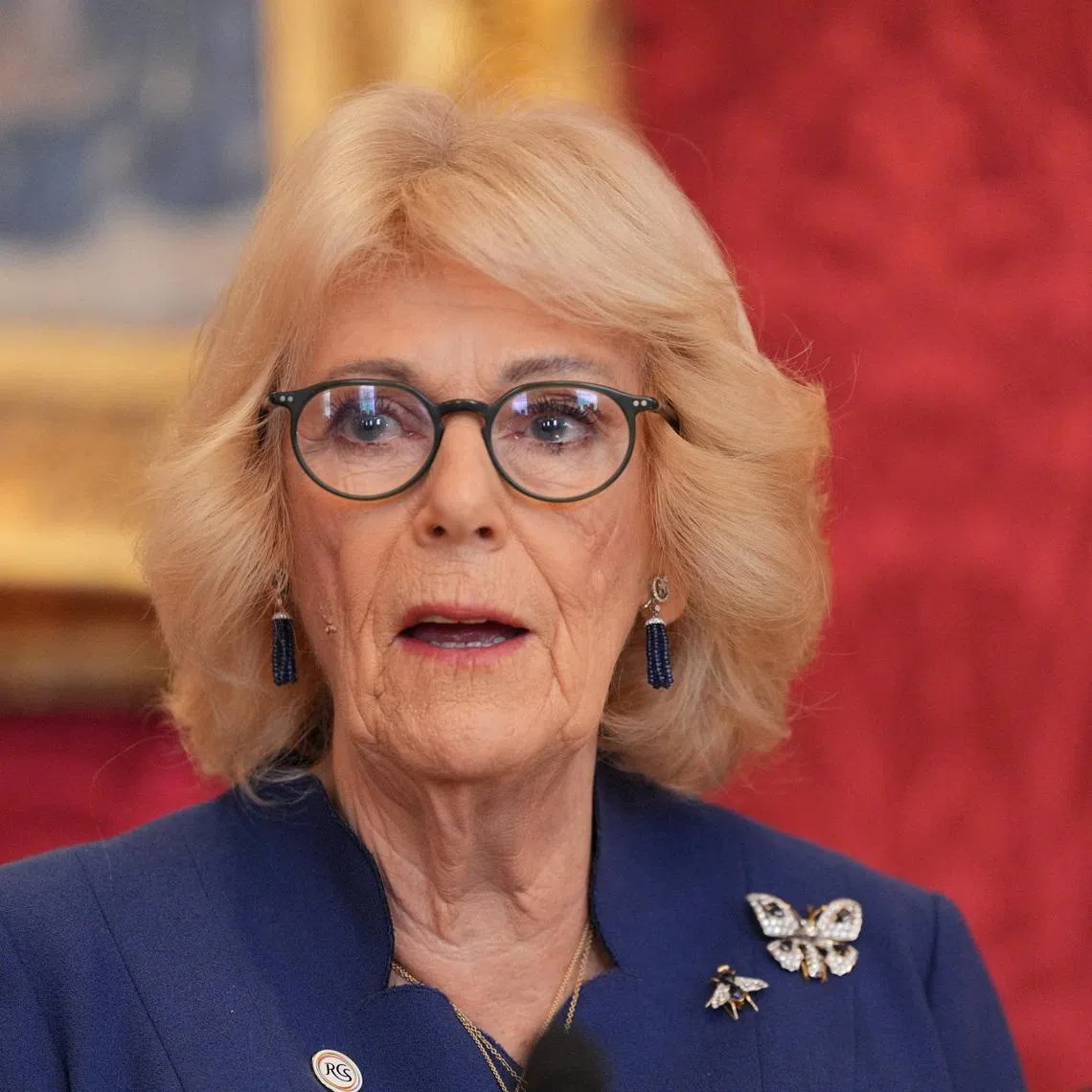 Queen Camilla speaks during a reception to celebrate the winners of the Queen's Commonwealth Essay Competition at St James' Palace in London. Picture date: Thursday November 20, 2025.    Yui Mok/Pool via REUTERS