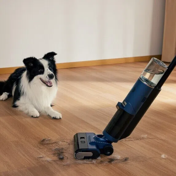 Dog sitting beside wet and dry vacuum cleaner