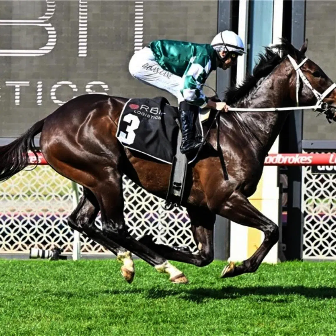Angel Capital  - Angel Capital 

PHOTO:  RACING PHOTOS