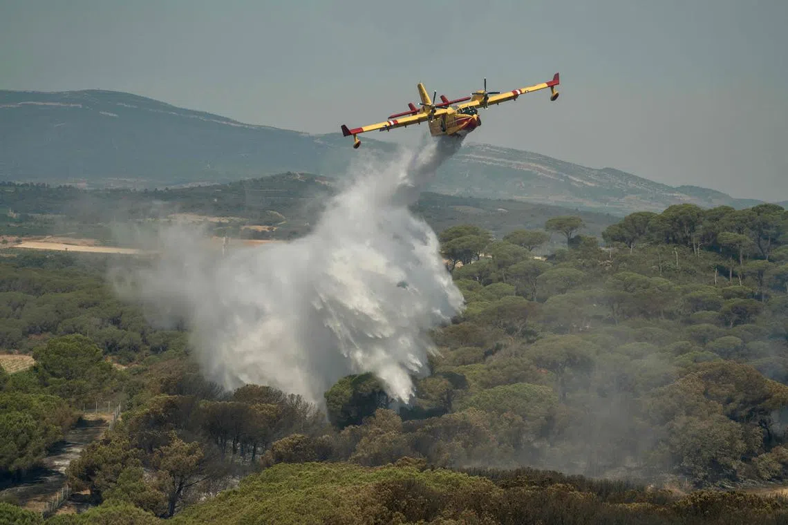 A Canadair water bomber aircraft drops water over trees, a day after the day after a wildfire near Bizanet, southern France, on June 30, 2025.