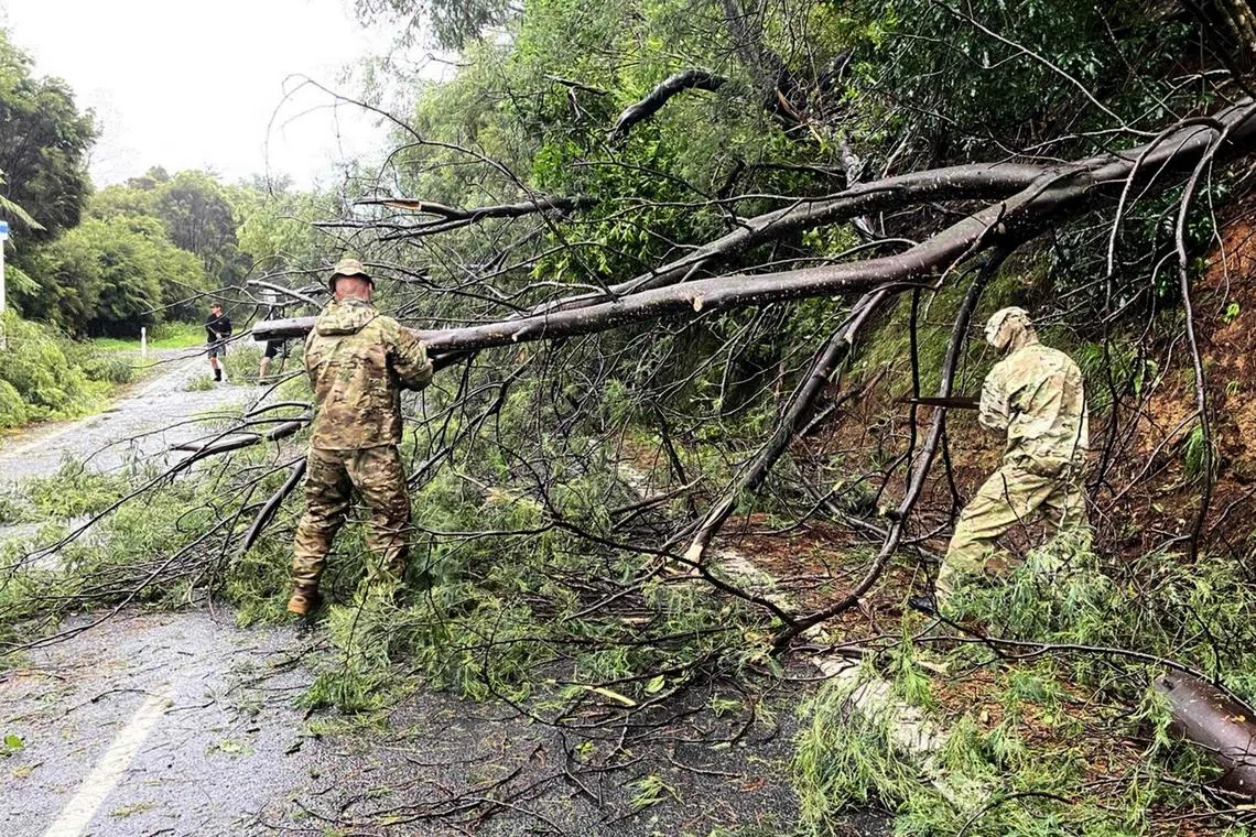 A handout photo taken and received on Feb 14, 2023 from the New Zealand Defence Force shows the army clearing fallen trees near Matarangi, in the Coromandel area of the North Island. 