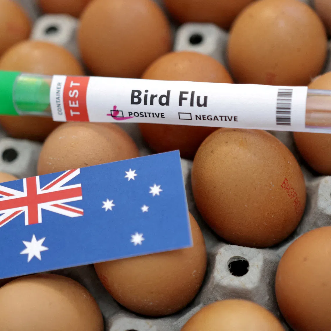 There is no evidence yet of the virus on Australia’s farms.