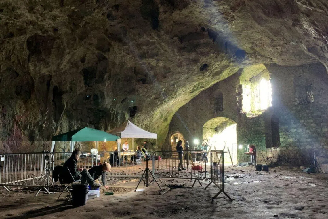 A major five-year archaeological project led by the University of Aberdeen will investigate the “enormous” cave.