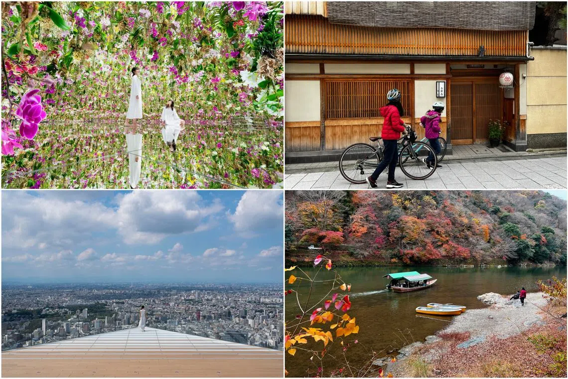 Japan houses a host of attractions that appeal to young travellers. 