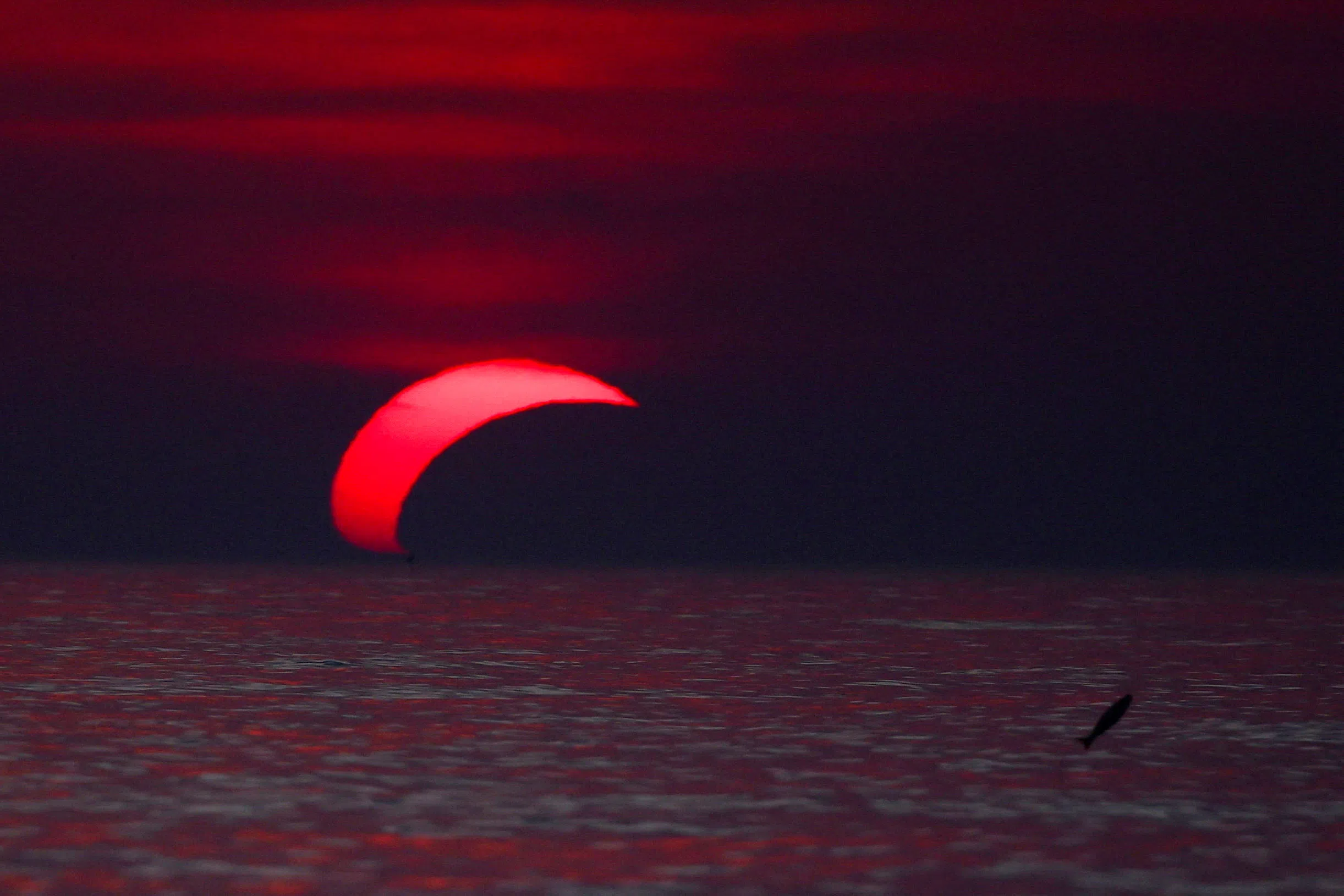 A fish jumps out of the water during a solar eclipse as the moon partially covers the sun and briefly dims the afternoon light along the coast of Fregene, near Rome, August 12, 2026. REUTERS/Guglielmo Mangiapane TPX IMAGES OF THE DAY