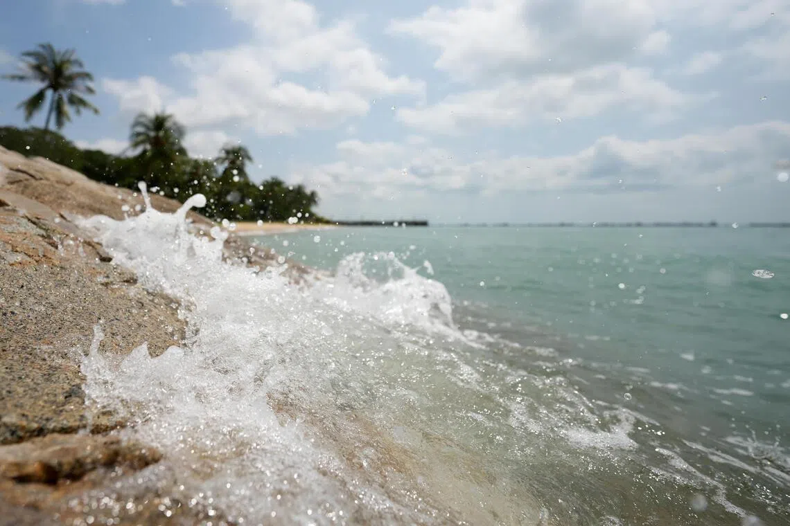 Professionals need to understand the coastal environment and its processes, and find ways to provide early warning for extreme coastal events. 