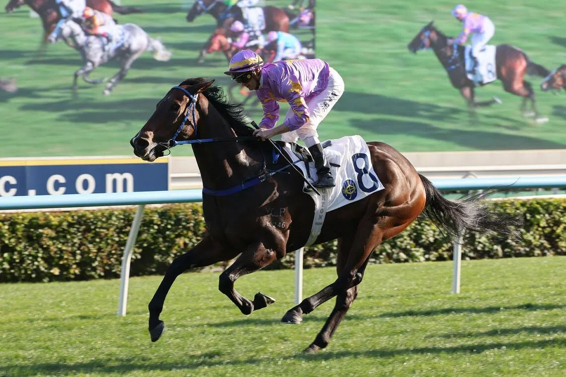 hkprev27 - Little Paradise and Zac Purton have formed a lethal partnership, securing four wins from six pairings. They recombine in the Celebration Cup (1,400m) at Sha Tin on Sept 27.
PHOTO:  HKJC