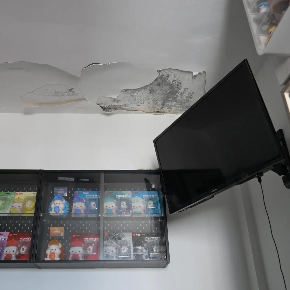 HDB will conduct inspections to find the cause of the condensation and mould before providing “appropriate advice” to flat owners and neighbours.