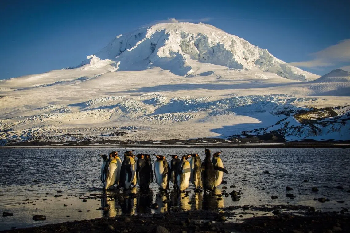 A growing number of powers are racing to establish or expand their presence on the continent.