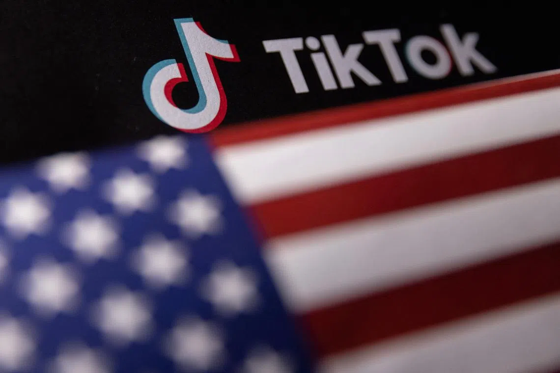 TikTok is seeking to replicate the American success of Chinese shopping platforms Shein and Temu.