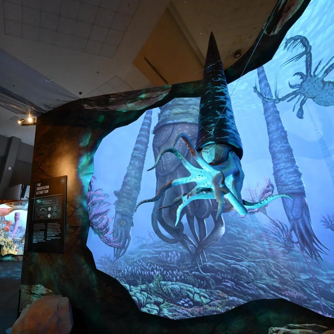 Visitors will learn about prehistoric life and the five major mass extinction events through interactive activities and 90 captivating artefacts.