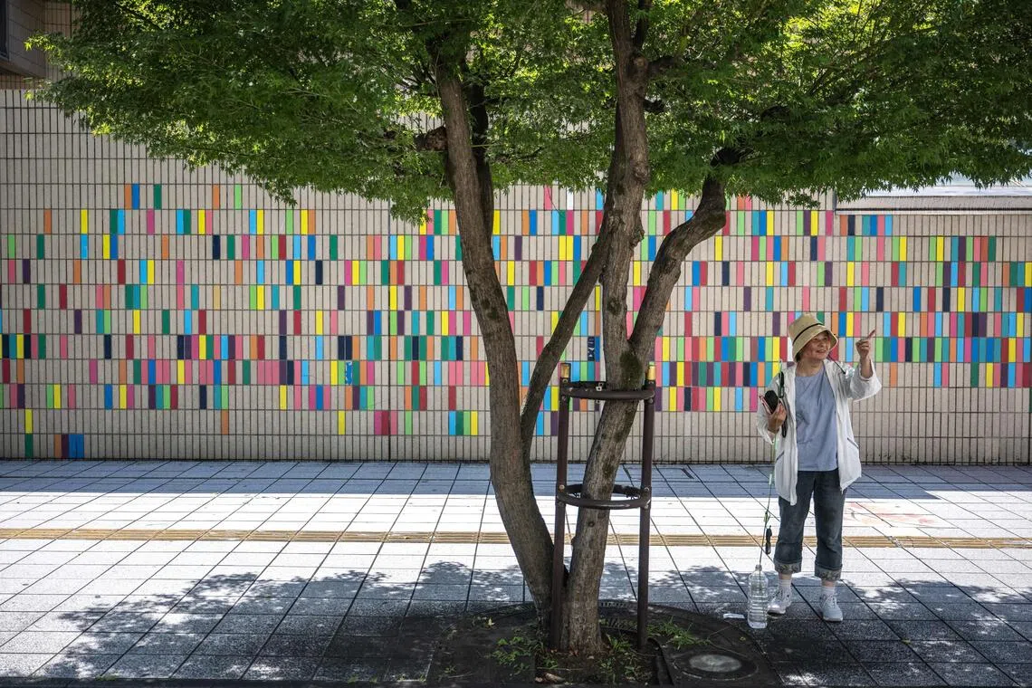 ‘Act before it's too late’: Tokyo residents fight for more trees