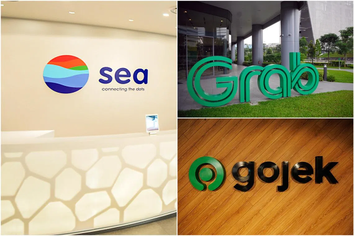 Buyer beware as S-E Asian unicorns promise higher growth prospects but struggle to meet bottom lines.