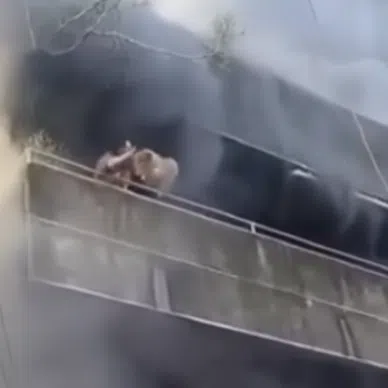 A woman in the Philippines is seen throwing her pet Pomeranian over a railing as a fire guts the building where she works and stays.
