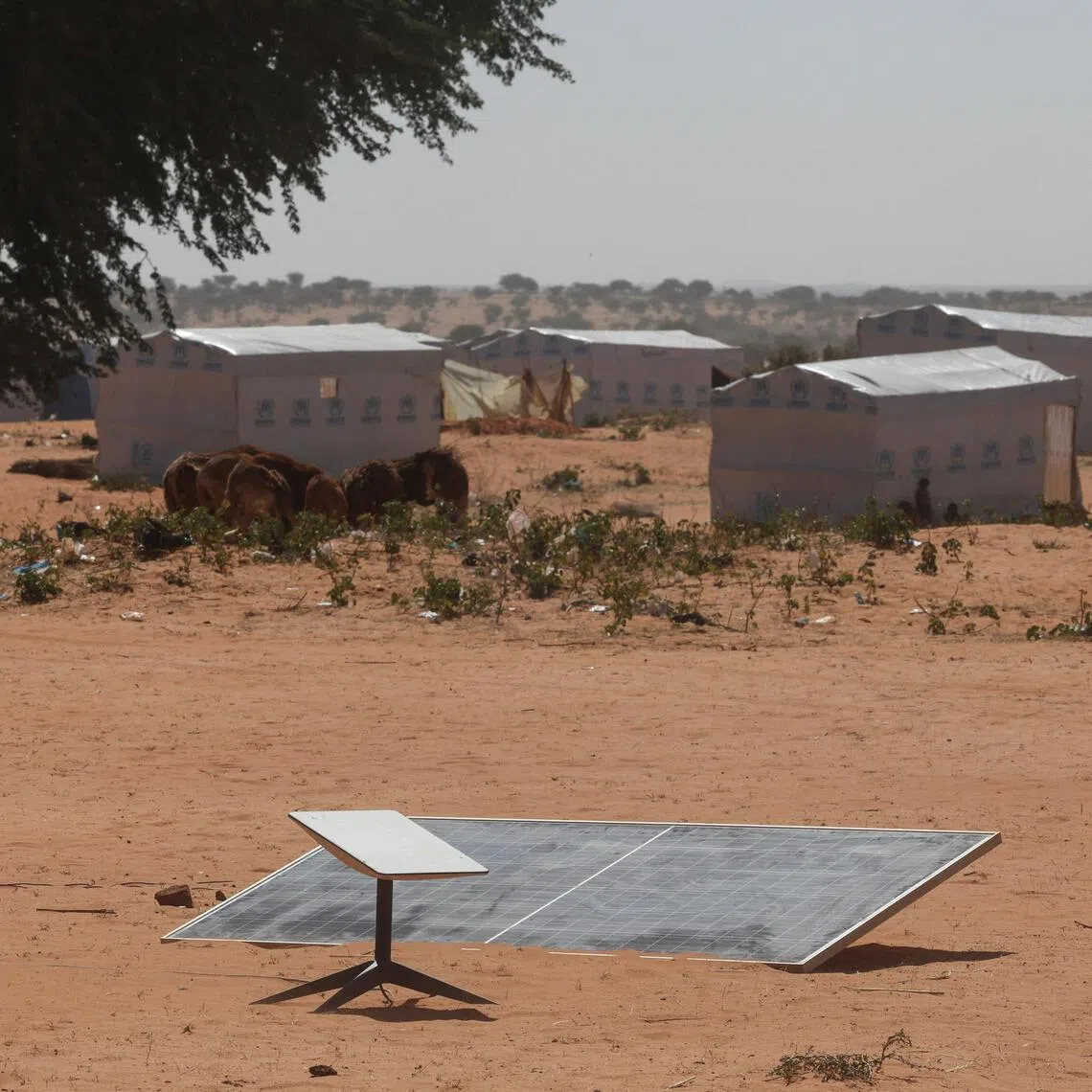 A Starlink antenna powered by a solar panel at a refugee camp in Chad for Sudanese refugees from Darfur.