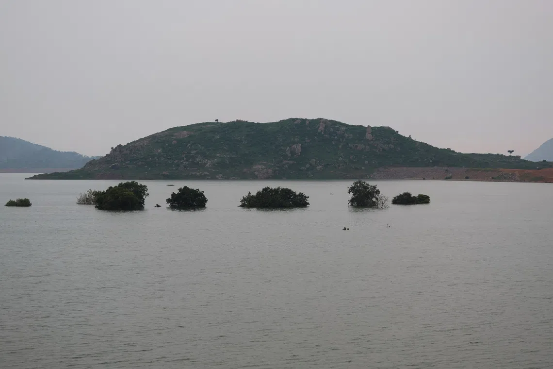 Submerged trees in the catchment area of the Ken River near the Majhgawan Dam in Ajaygarh, Madhya Pradesh, India, on Sept 20.