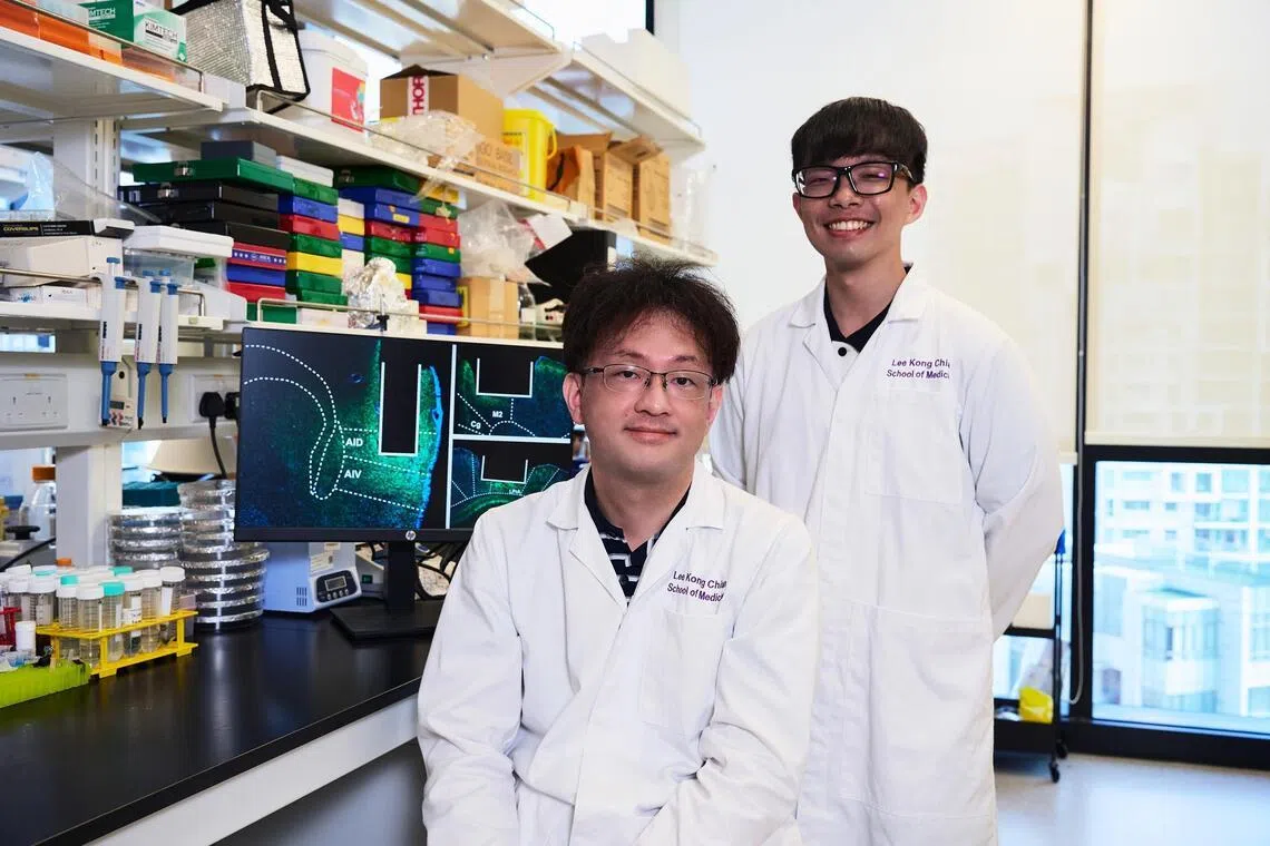 Singapore study reveals role of different brain regions in regulating impulsive behaviour