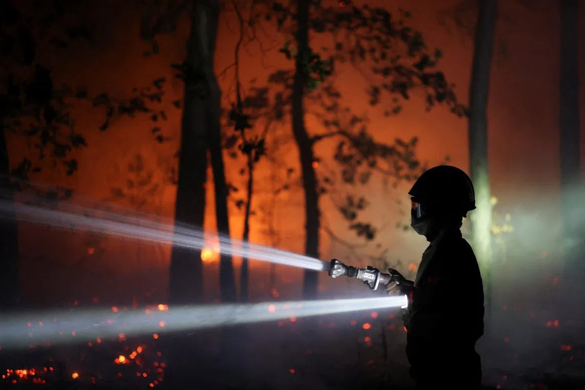 Firefighters battle Fontainebleau forest fire near Paris as two arrested