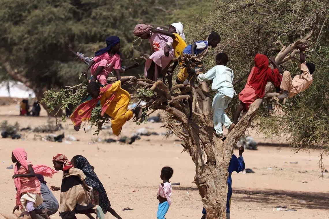 Sudanese refugee children from Darfur playing and jumping from a tree at the Iridimi refugee camp, northwest of the town of Iriba, eastern Chad, Nov 27, 2025. 