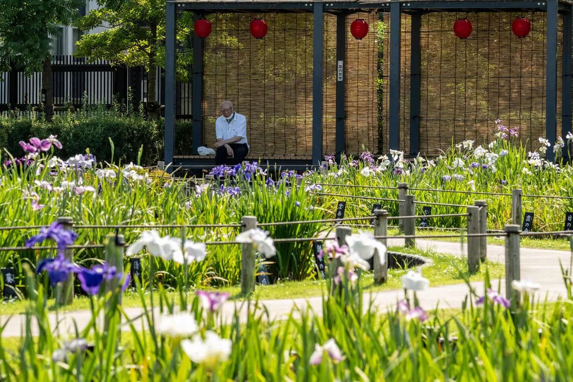 A person visits Horikiri Iris Garden in Tokyo where temperatures reached into the mid-30s Centigrade (90F+) on June 18, 2025. (Photo by Philip FONG / AFP)