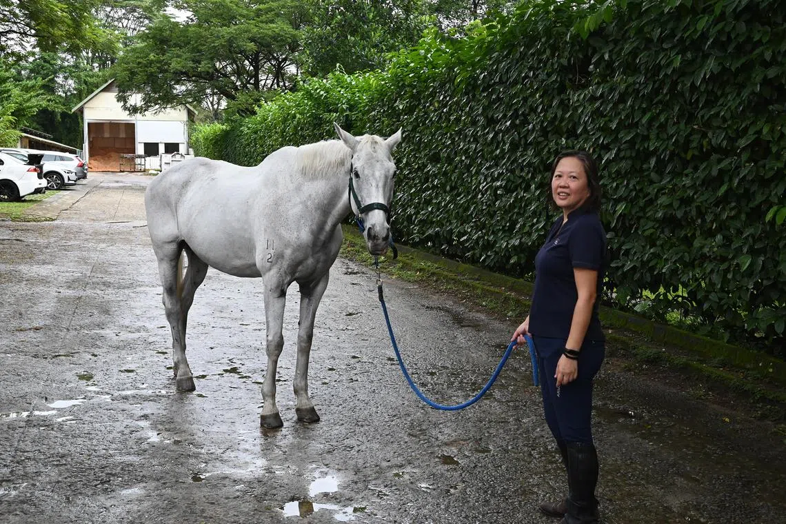 Ms Carrie -Ann Lee, marketing lead, Asia Pacific, at WS Audiology and president of the Botanical Art Society Singapore at the National Equestrian Centre off Thomson Road. 
