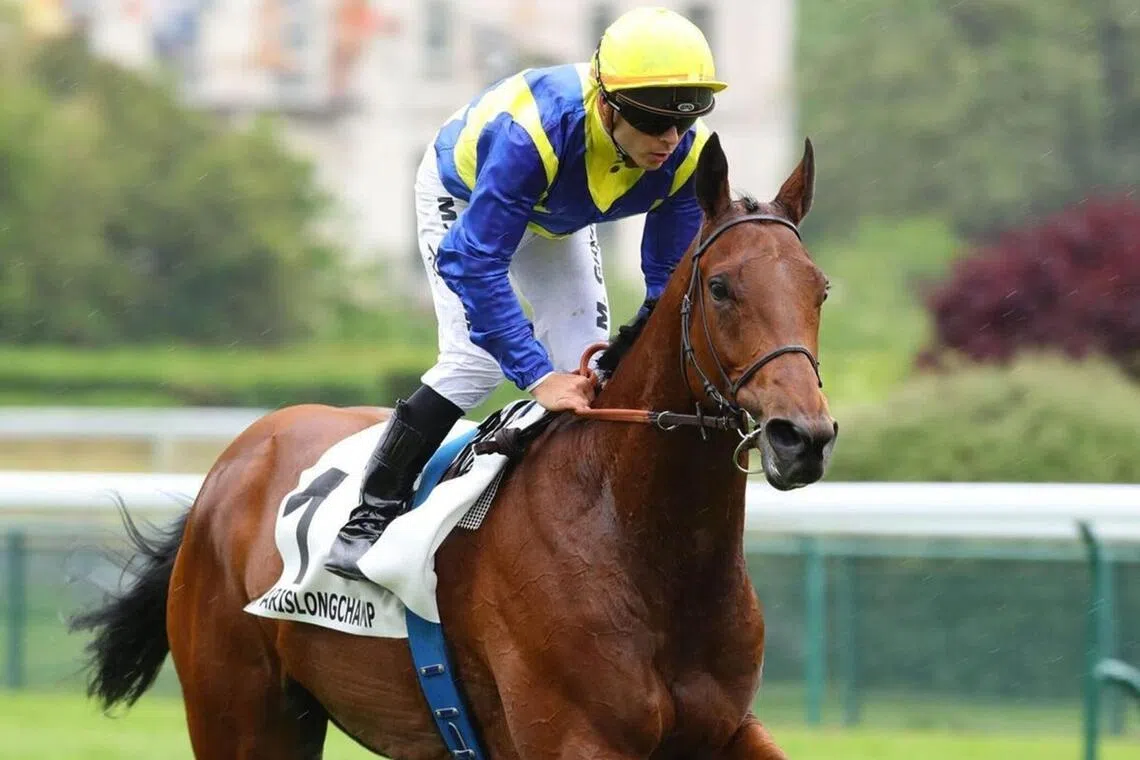Goliath (Maxime Guyon) on the way to the barriers at one of his earlier wins in France, which was the Group 3 Prix d'Hedouville (2,400m) at ParisLongchamp on May 5, 2024. 
PHOTO: SCOOPDYGA