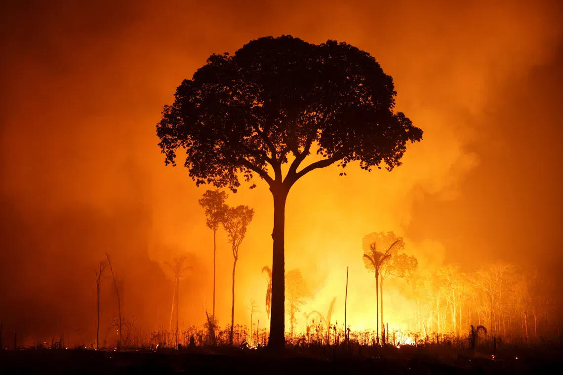 Earth’s most important ecosystems are close to their tipping points, said Johan Rockstrom, director of the Potsdam Institute for Climate Impact Research, on Oct 20, at the Reuters Sustainability Europe conference.