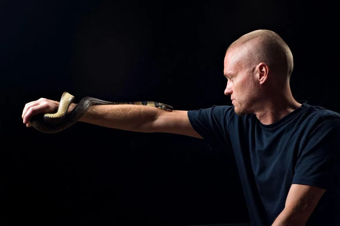 Mr Tim Friede, 57, who has exposed himself to snake venom hundreds of times with an aim to build up immunity, poses with a water cobra.
