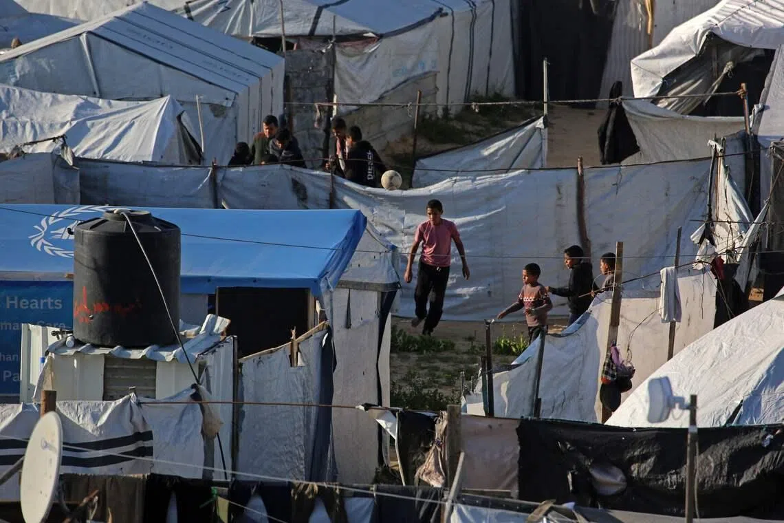 With meagre shelter and almost no sanitation, Palestinians say the vermin are invading their makeshift homes, biting children and contaminating food.