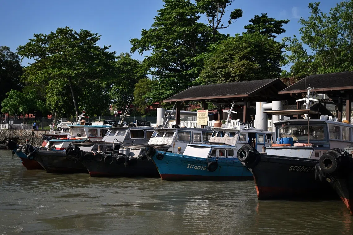 Bumboats to Pulau Ubin docked at the Changi Point Ferry Terminal. It should not take a pandemic to make those living in Singapore pay attention to what is on our doorstep, and there is no reason we cannot enjoy this island now with the same curiosity and sense of wonder, says the writer.