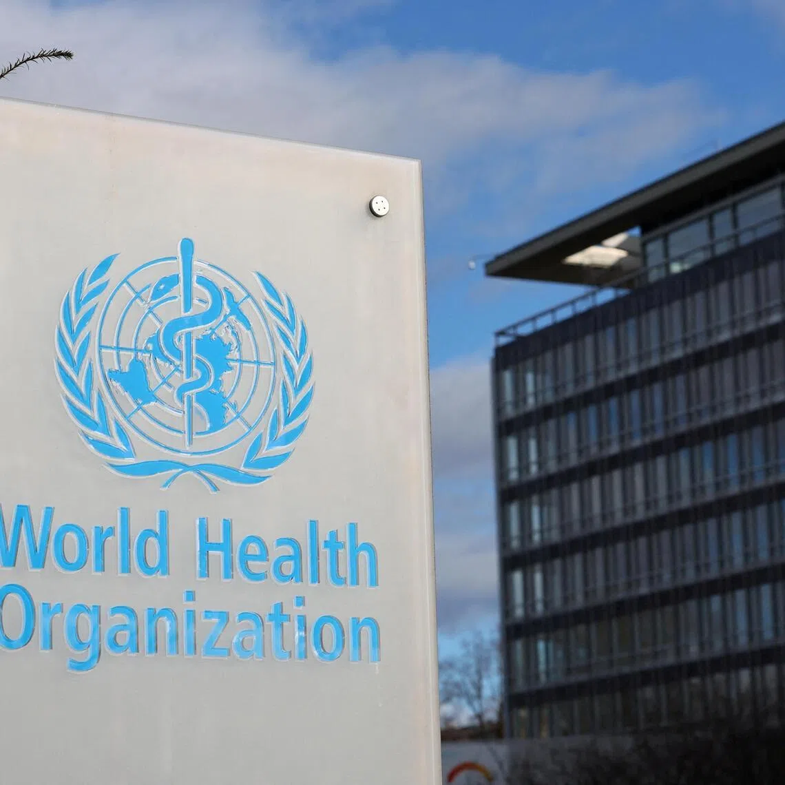 According to World Health Organization figures, Denmark has low rates of HIV and syphilis among pregnant women.