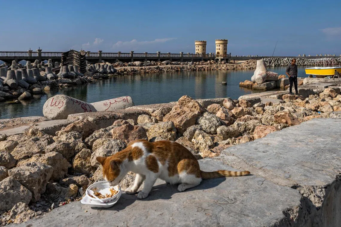 The Middle East, including Egypt, is at high risk of water and food scarcity as well as severe heat waves as a result of climate change, said a Greenpeace study. 