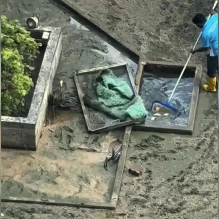 Fish were still alive and struggling at the bottom of the drained pool in the March 2025 incident at a condominium.