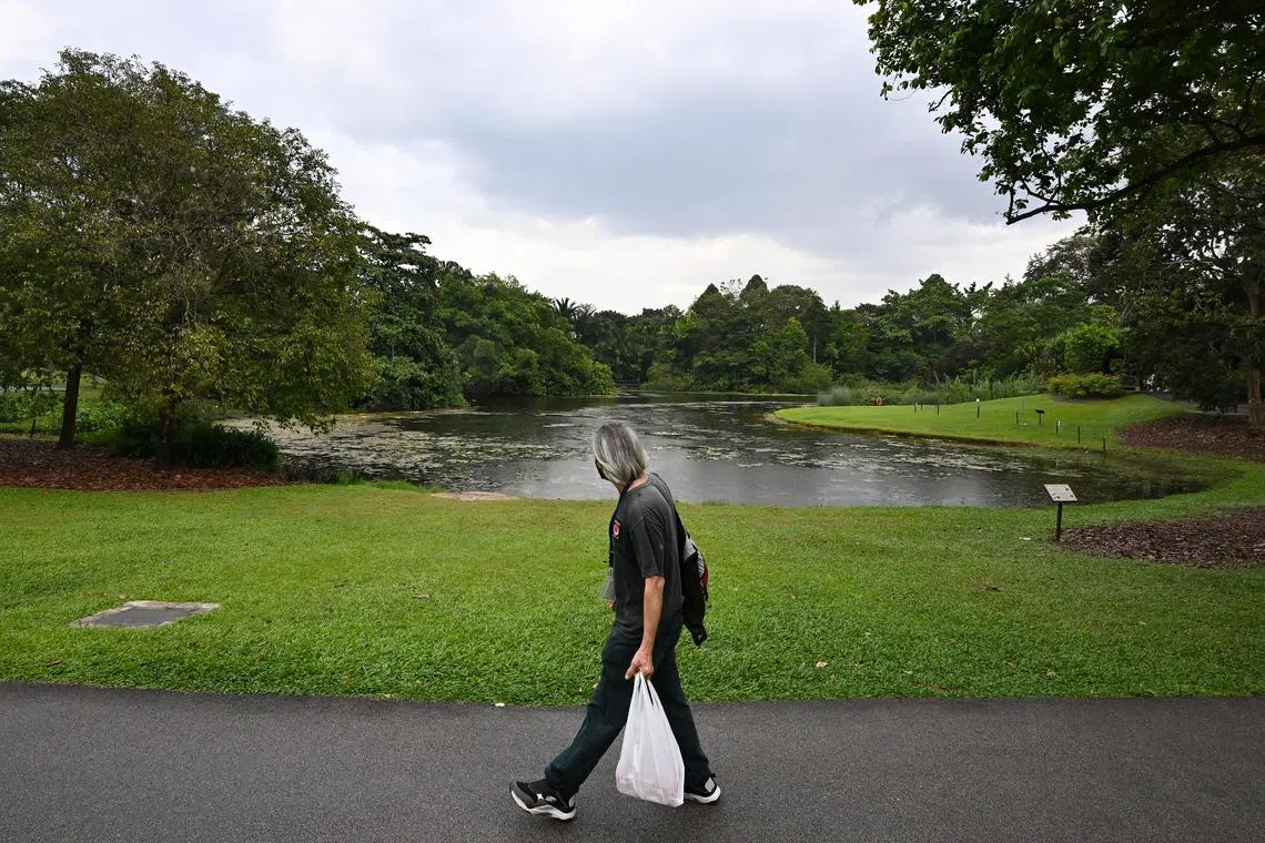 Moderate to heavy thundery showers are expected over many areas of Singapore on most afternoons during the first week of March. 