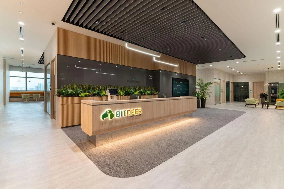 bitdeer ai cloud office