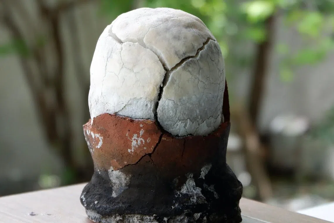 Asin tibuok is an artisanal salt made in Alburquerque municipality in the Philippines’ Bohol province.