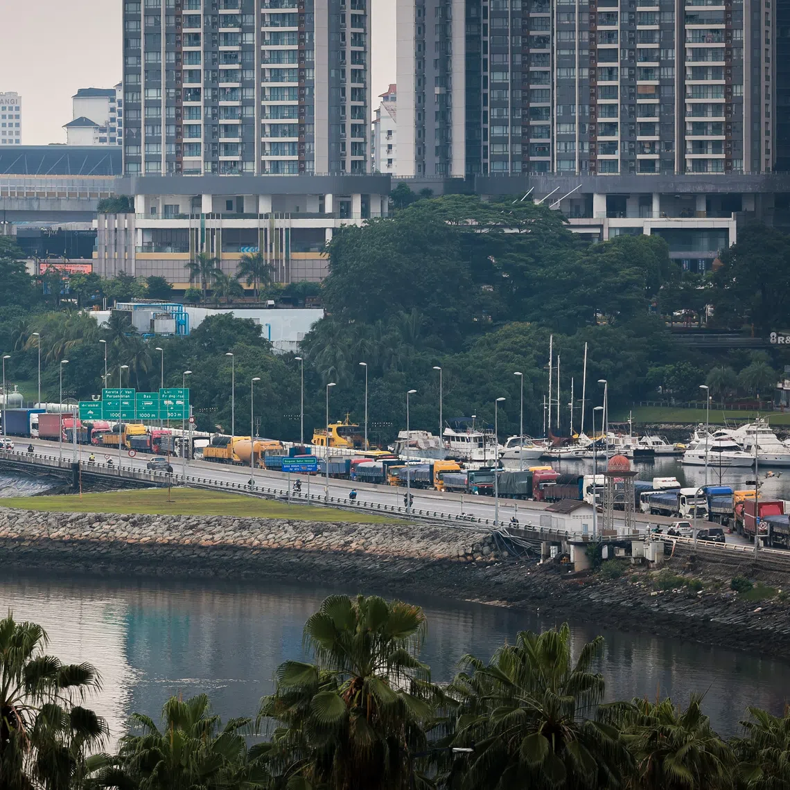 Johor’s land and natural resources will come into play and complement Singapore’s strengths, said Minister of State for Trade and Industry Alvin Tan.