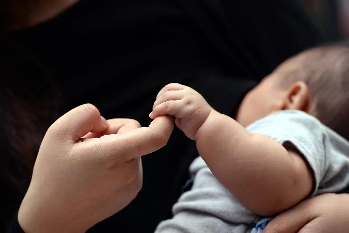 In 2024, there were 244 babies born to teenagers aged 19 or younger, up 7 per cent from the 228 such babies in 2023.