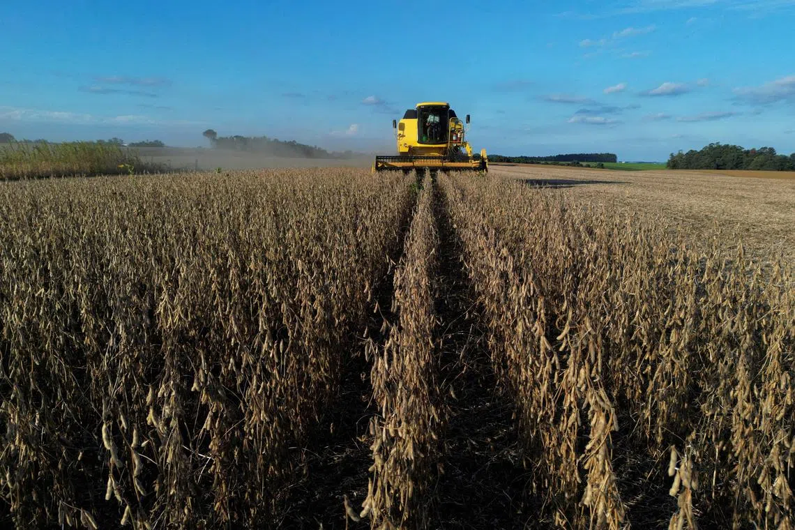FILE PHOTO: A drone image shows a farm worker operating a combine harvester during the soybean harvest season in Brazil's southernmost state, on a farm in Lagoa dos Tres Cantos, Rio Grande do Sul state, Brazil, April 1, 2025. REUTERS/Diego Vara./File Photo