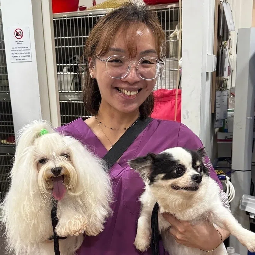 Ms Evonne Yong is a senior veterinary nurse at McMaster & Heap Veterinary Practice in Christchurch, New Zealand.