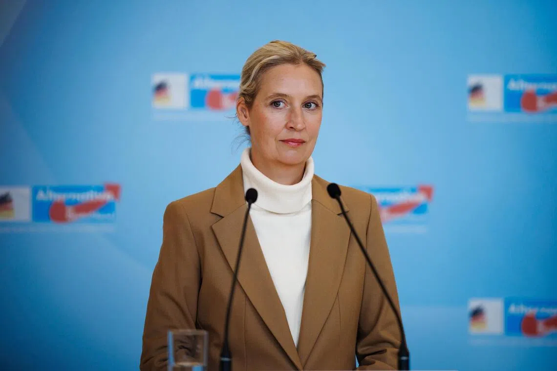 Alternative for Germany co-chairwoman Alice Weidel has sought to make the AfD a major force in German politics.