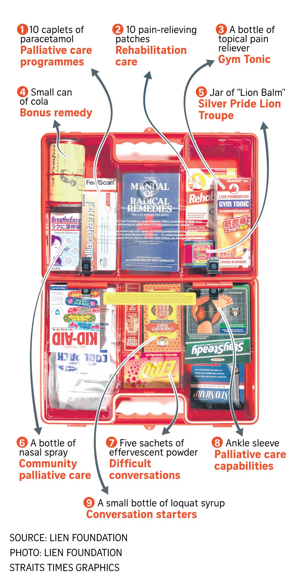Graphic of Lien Foundation’s first-aid box of “radical remedies”.