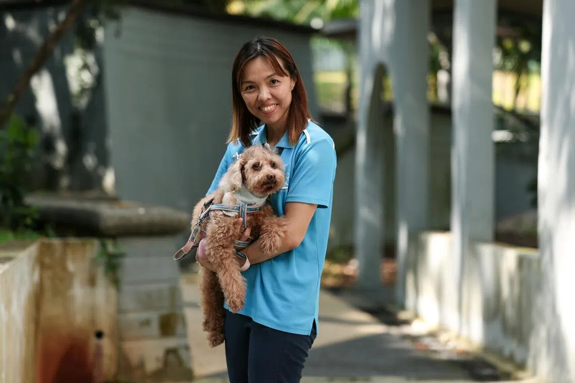 ST20251201_202571500387/mladeline/Brian Teo/Koh Ming Lun/Profile of Ms Adeline Wong, 48, founder of Human-Animal Bond in Ministry (HIM), pictured with her nine-year-old adopted dog, Chloe, at Telok Blangah Crescent on Dec 1, 2025. ST PHOTO: BRIAN TEO